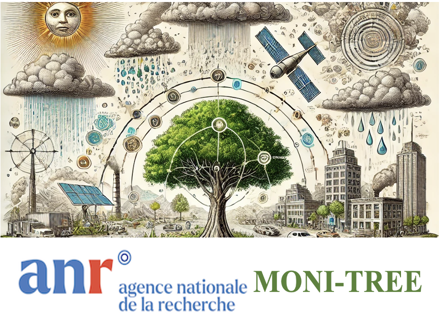 Moni Tree Home ANR MONI-TREE